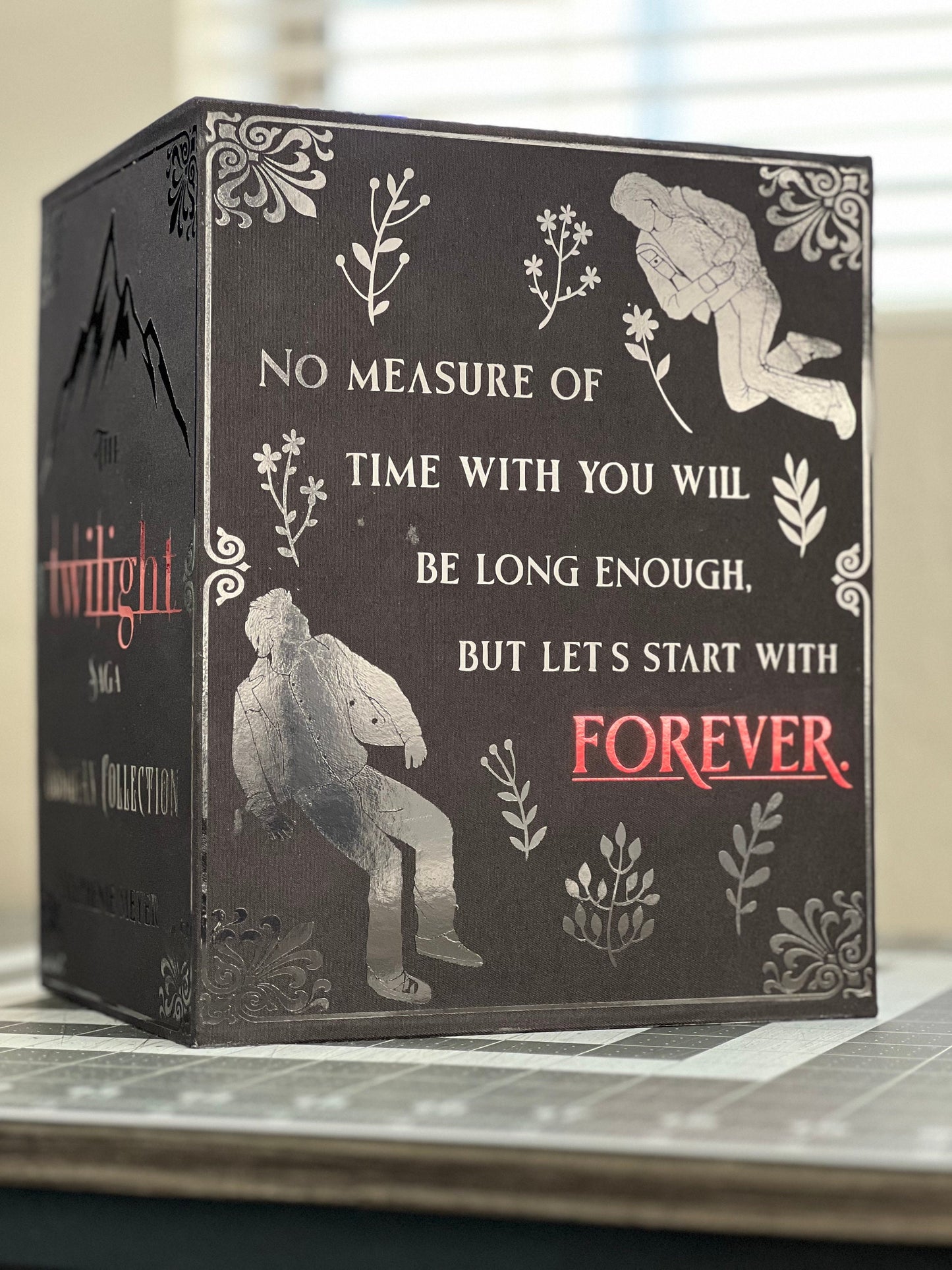 The Twilight Saga Obsidian Collection (WITH SLIPCASE) by Stephenie Meyer Rebound Rebind