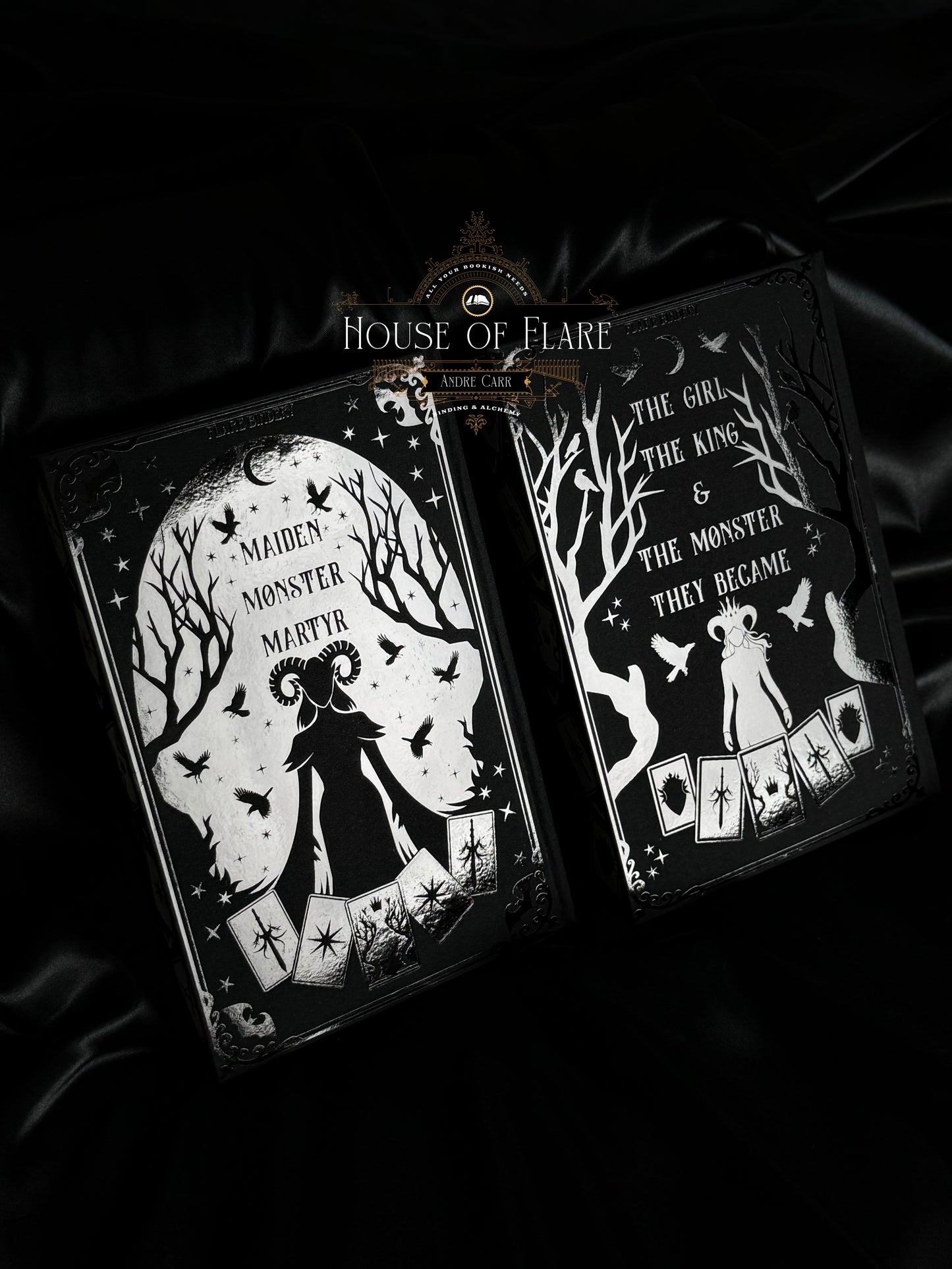 The Shepherd King Darkened Duology (NO CASE) Rebound Custom MADE TO ORDER
