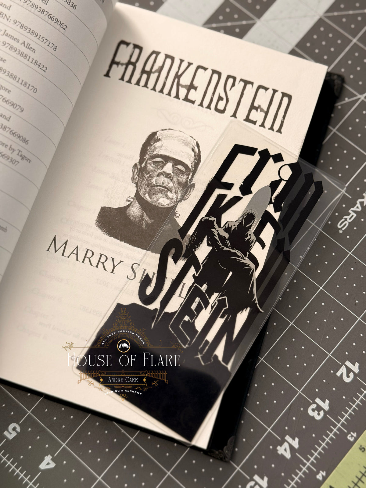 Frankenstein | Distressed Transparent Bookmark
